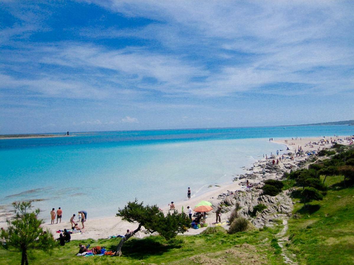 Apartament Lucia 150Mt From Beach 카스텔사르도 외부 사진